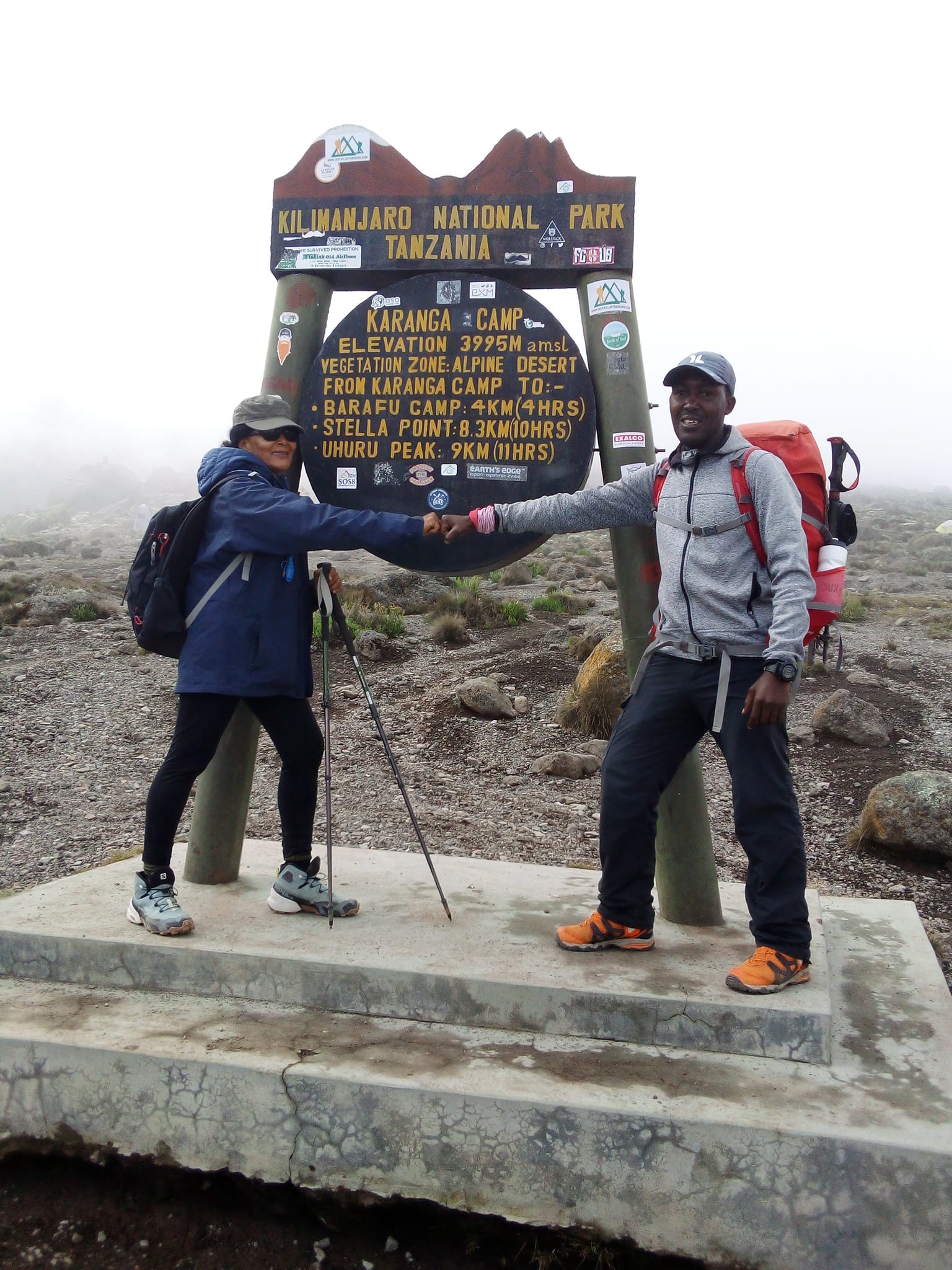 Mount Kilimanjaro visual data 3